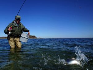 fiskekonkurrence for voksne